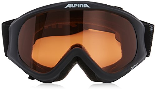 Skibrille Alpina Driber Bild 2